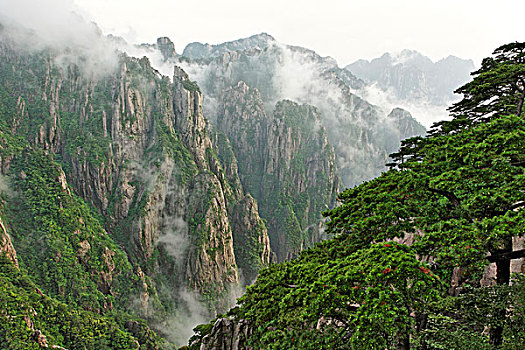 听华水购物平台C1B8D97C5-18975